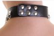 Halsband aus Kunstleder mit Ketten.